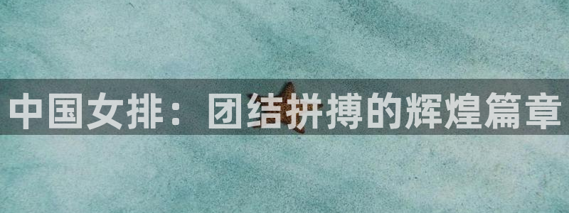 中国女排：团结拼搏的辉煌篇章