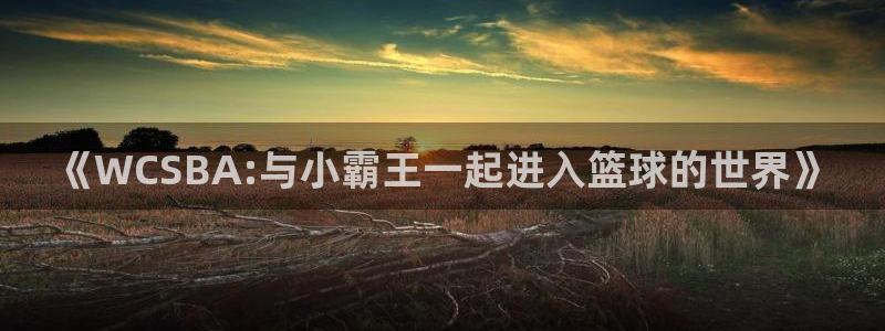 《WCSBA:与小霸王一起进入篮球的世界》