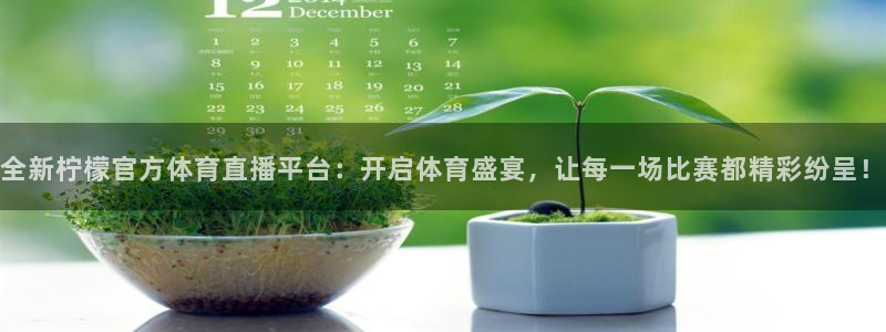 全新柠檬官方体育直播平台：开启体育盛宴，让每一场比赛都精彩纷呈！