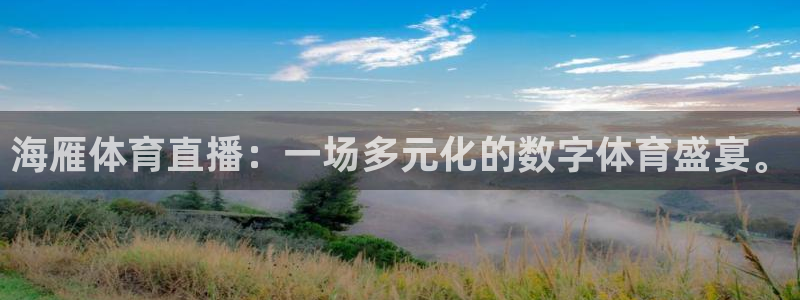 海雁体育直播：一场多元化的数字体育盛宴。