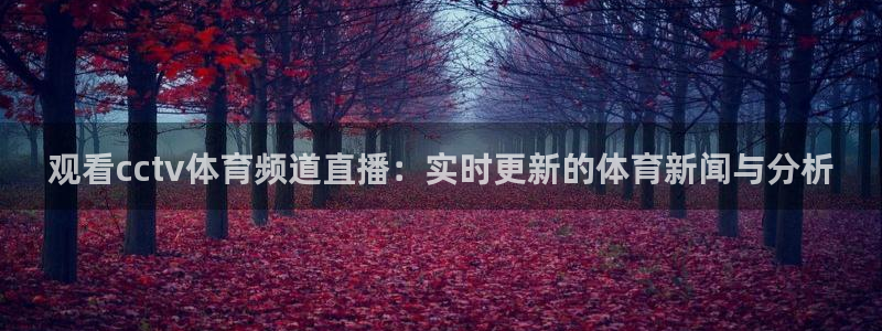 观看cctv体育频道直播：实时更新的体育新闻与分析
