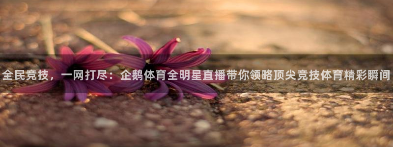 全民竞技，一网打尽：企鹅体育全明星直播带你领略顶尖竞技体育精彩瞬间