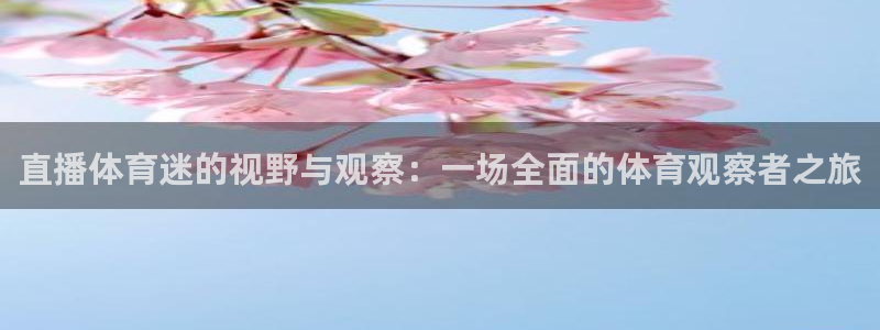直播体育迷的视野与观察：一场全面的体育观察者之旅