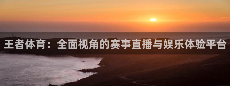 王者体育：全面视角的赛事直播与娱乐体验平台