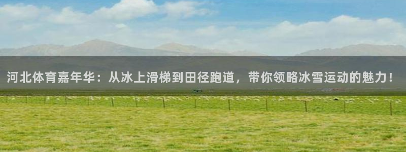 河北体育嘉年华：从冰上滑梯到田径跑道，带你领略冰雪运动的魅力！