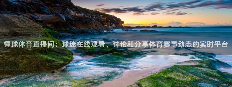 懂球体育直播间：球迷在线观看、讨论和分享体育赛事动态的实时平台