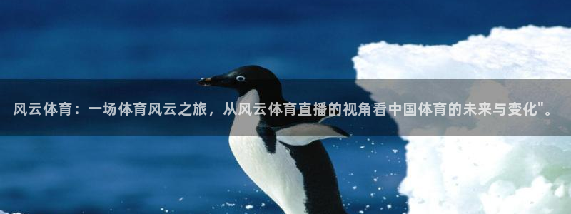 风云体育：一场体育风云之旅，从风云体育直播的视角看中国体育的未来与变化\